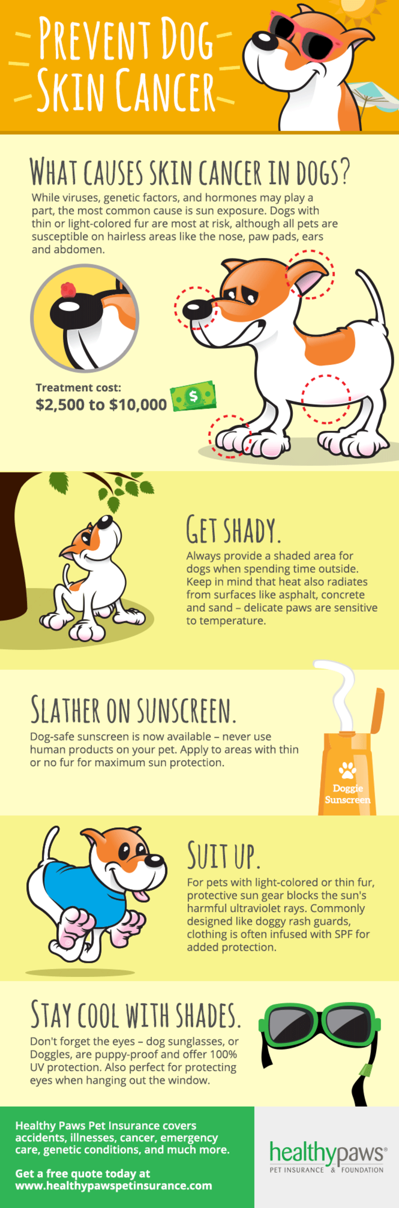 dog skin cancer