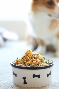 dog food recipes