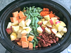 crockpot dog food recipes