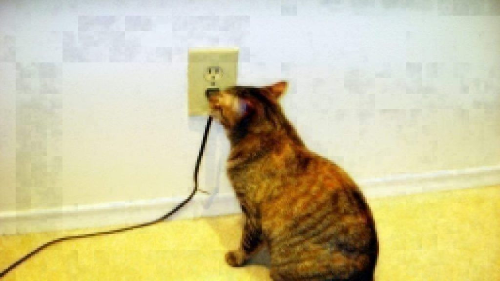 electrocution