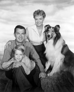 Black and white photo of Lassie dog and cast