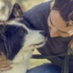 man playing with dog in the park