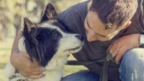 man playing with dog in the park