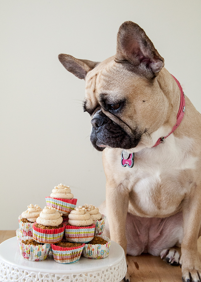 dog cupcake recipes